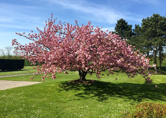 Hotel Mercure Lille Aéroport Lesquin
