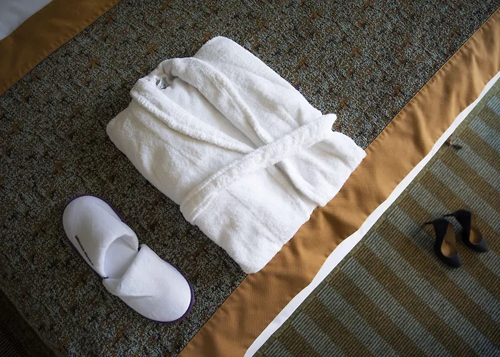 Hotel Mercure Lille Aéroport 4*